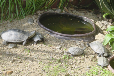 0510oyako4.jpg