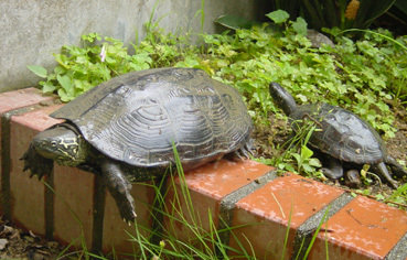 0603oyako1.jpg