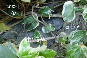 090412.jpg