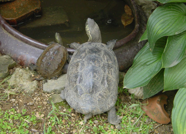 1027oyako1.jpg